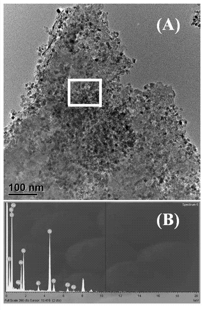Preparation method for infusorial earth/ titanium dioxide composite photocatalyst with nuclear/shell structure