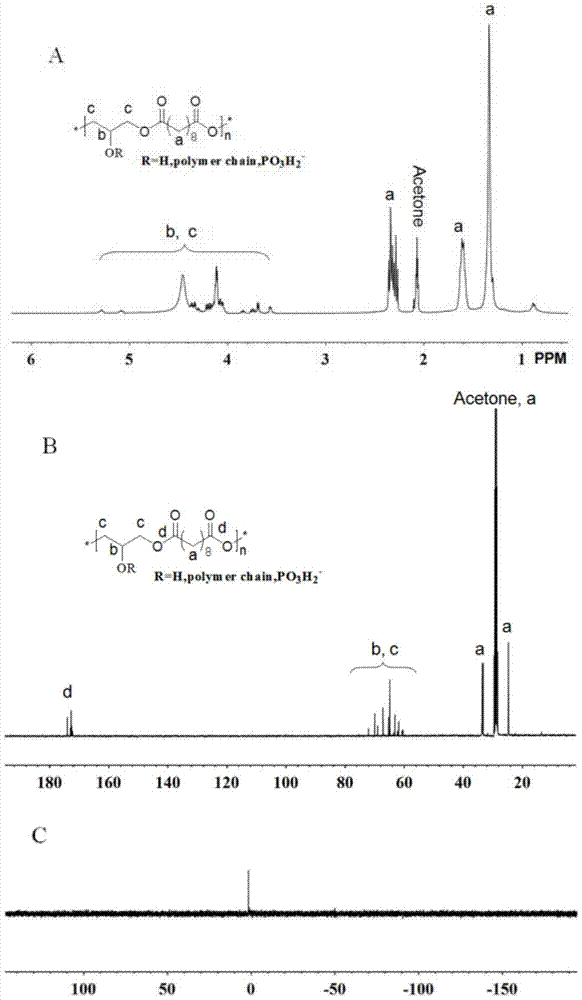 A kind of degradable phosphorylation material and its preparation method and osteogenesis application