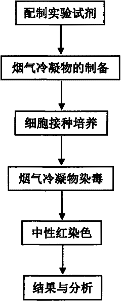 Method for measuring cytotoxicity of condensate of main stream smoke of cigarettes