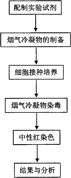 Method for measuring cytotoxicity of condensate of main stream smoke of cigarettes