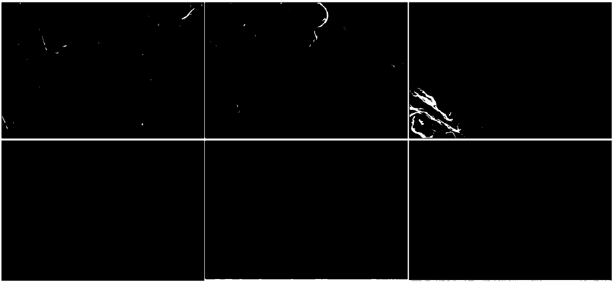 Aliphatic chain grafted hexagonal boron nitride nanocomposite material and preparation method thereof