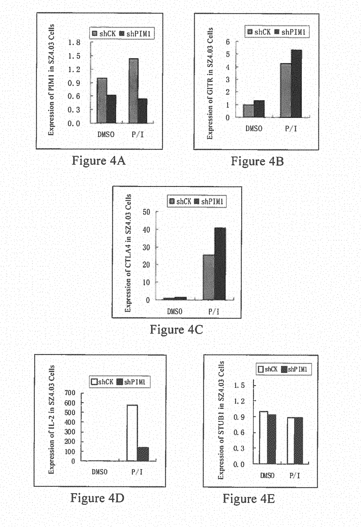 Use of phosphorylation pathway-related factor in regulating function of regulatory t cell