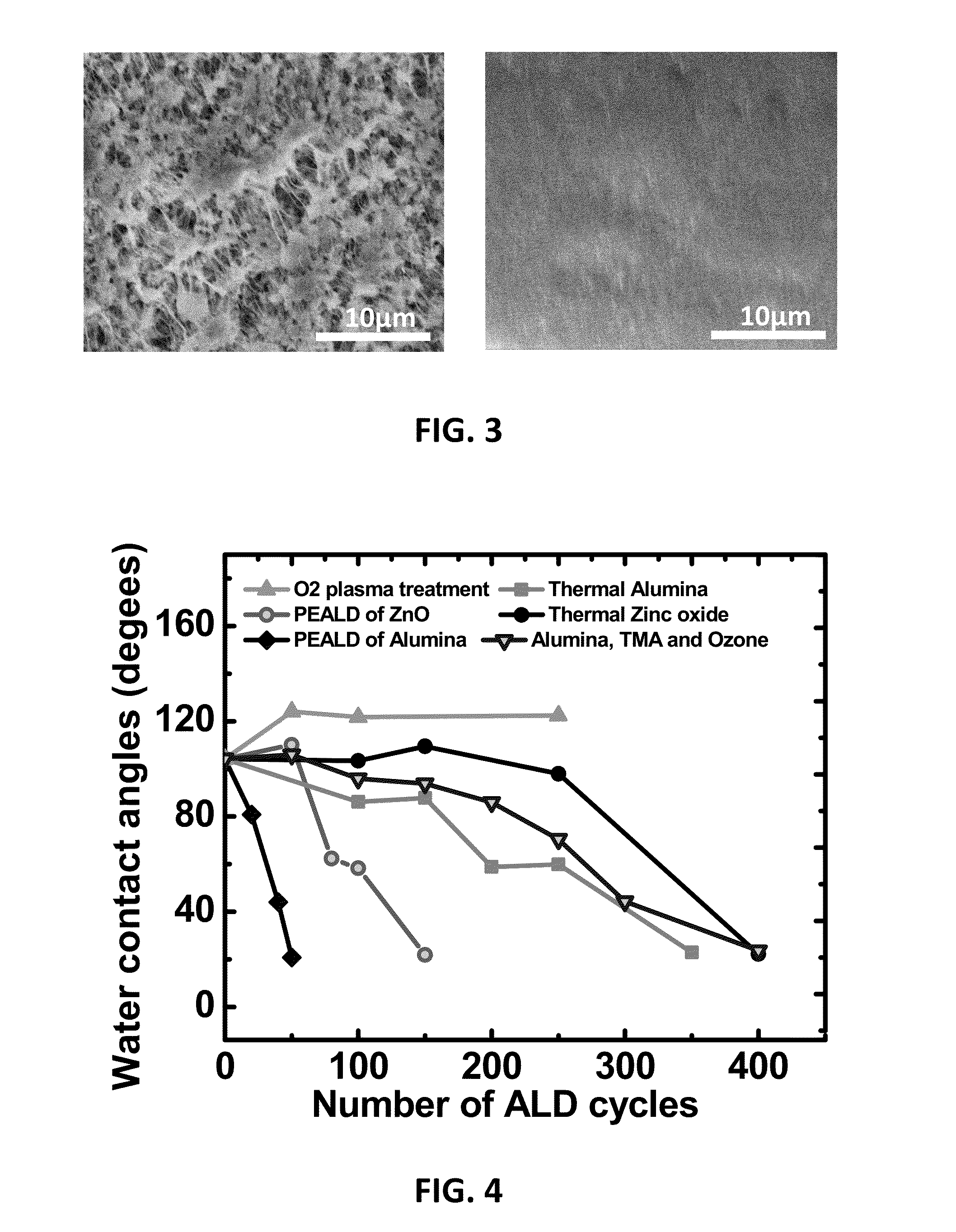 Methods for Obtaining Hydrophilic Fluoropolymers