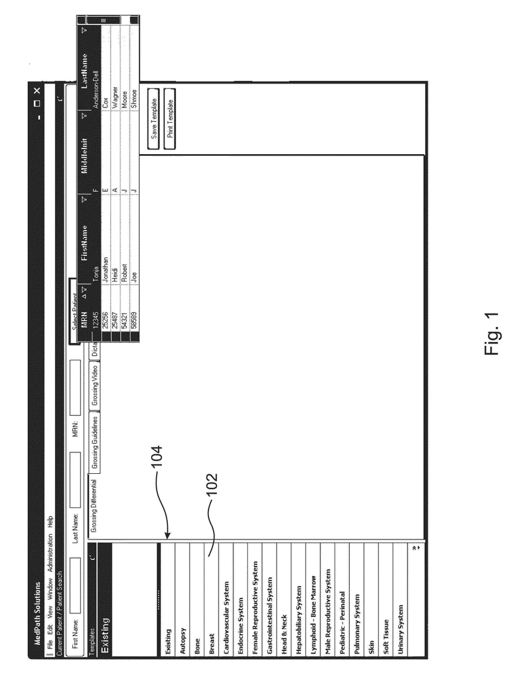 Computer based standardized method and apparatus for guiding decision support for surgical anatomic pathology operations