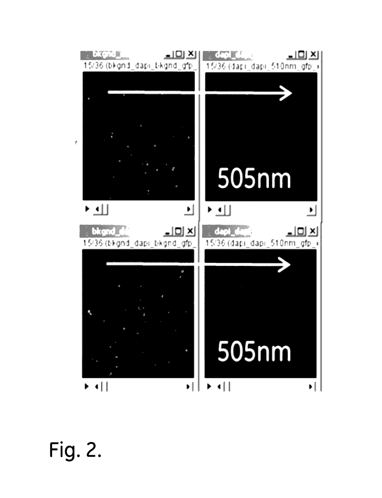 Method for reduction of autofluorescence from biological samples