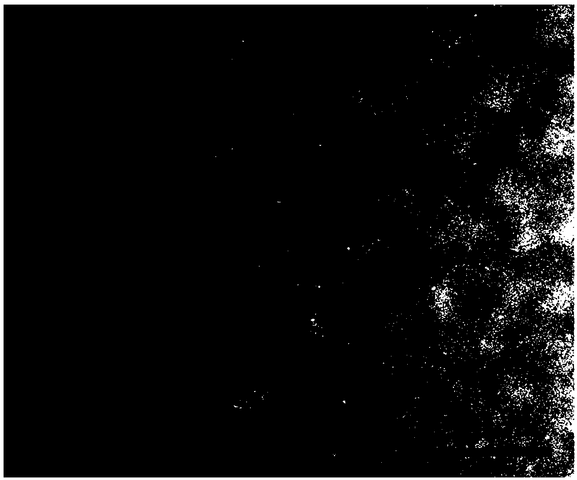 Pt1@MIL nano-catalyst, and preparation method and application thereof