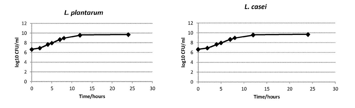 Prebiotic Composition and its Methods of Production