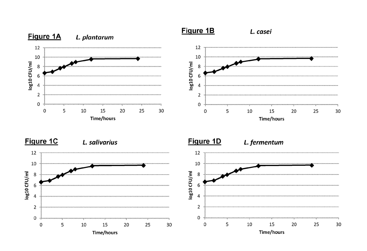 Prebiotic Composition and its Methods of Production