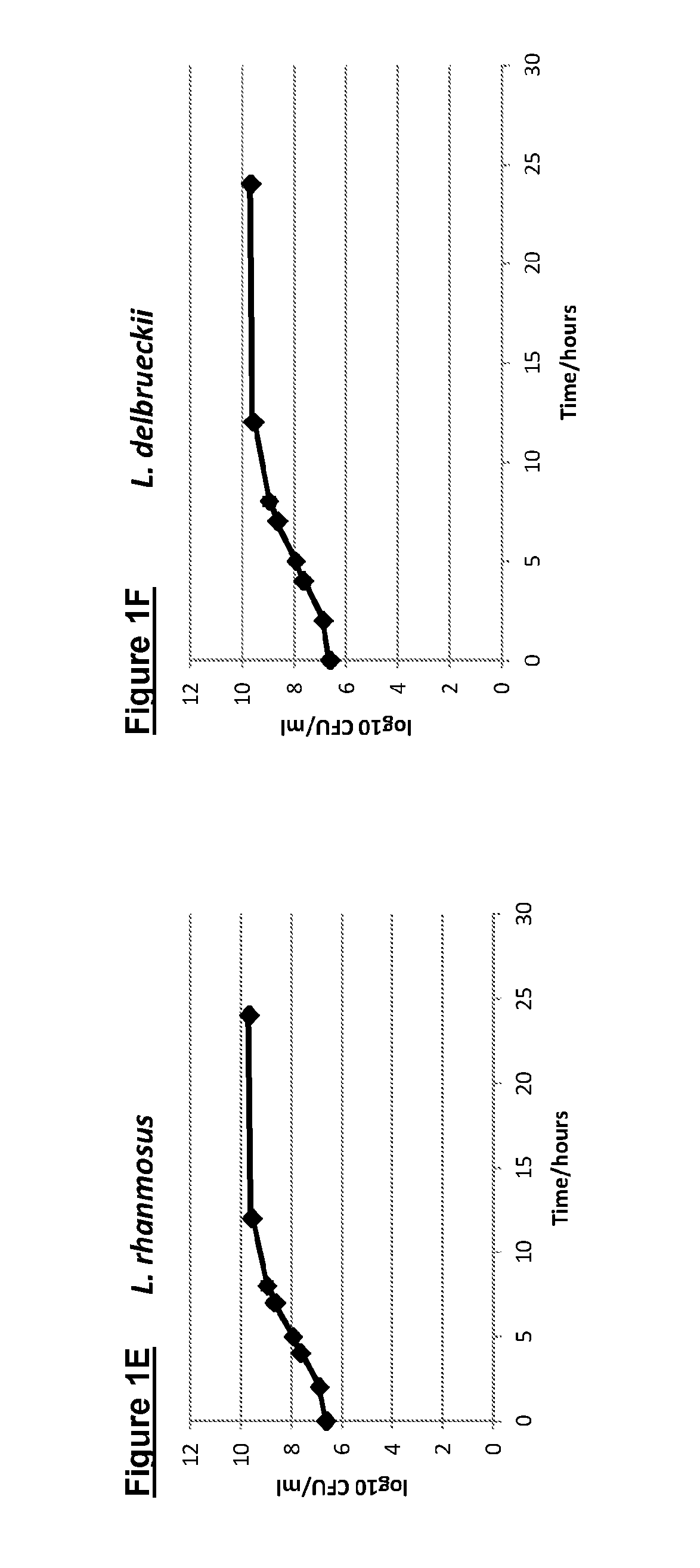 Prebiotic Composition and its Methods of Production