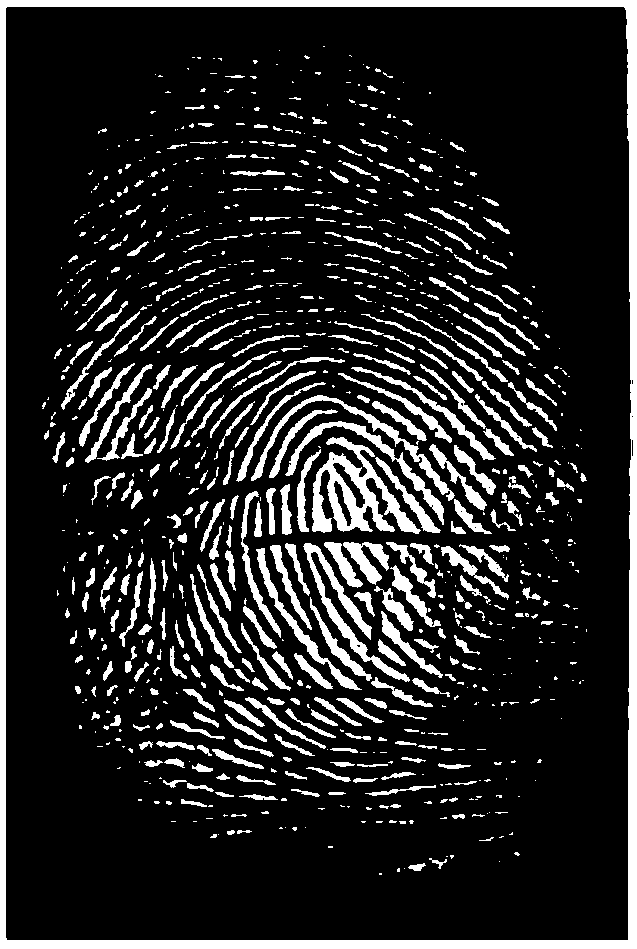 Black magnetic fingerprint display powder using graphene-modified stearic acid and its preparation