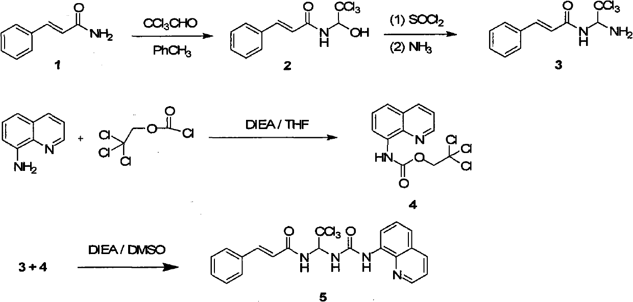 Carbamide compound and its medicinal usage