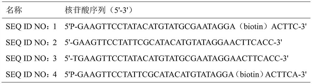 A kind of construction method and application of dna large fragment library