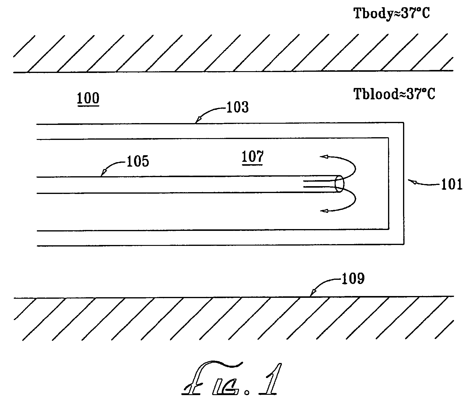 Inflatable catheter for selective organ heating and cooling and method of using the same