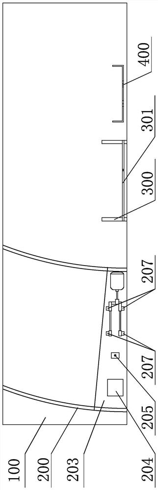 Auricular point automatic positioning device, positioning system and positioning method for assisting ear point pressing seeds