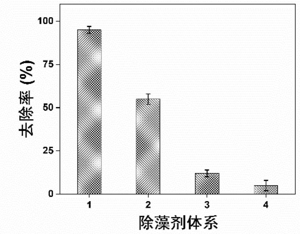 Red tide algae algicide based on procyanidine activated persulfate and application of red tide algae algicide