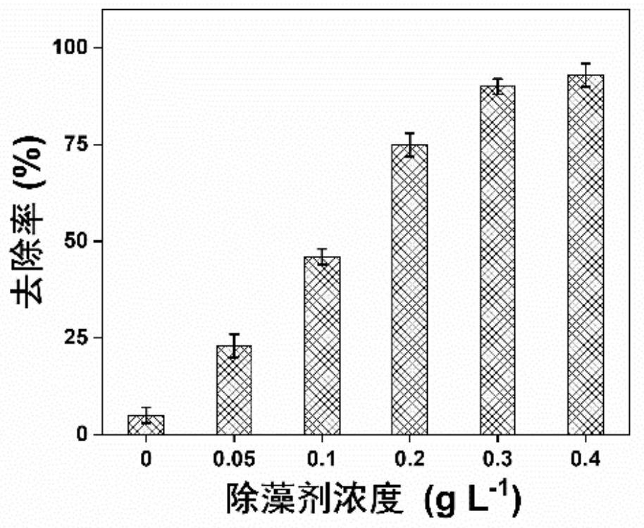 Red tide algae algicide based on procyanidine activated persulfate and application of red tide algae algicide