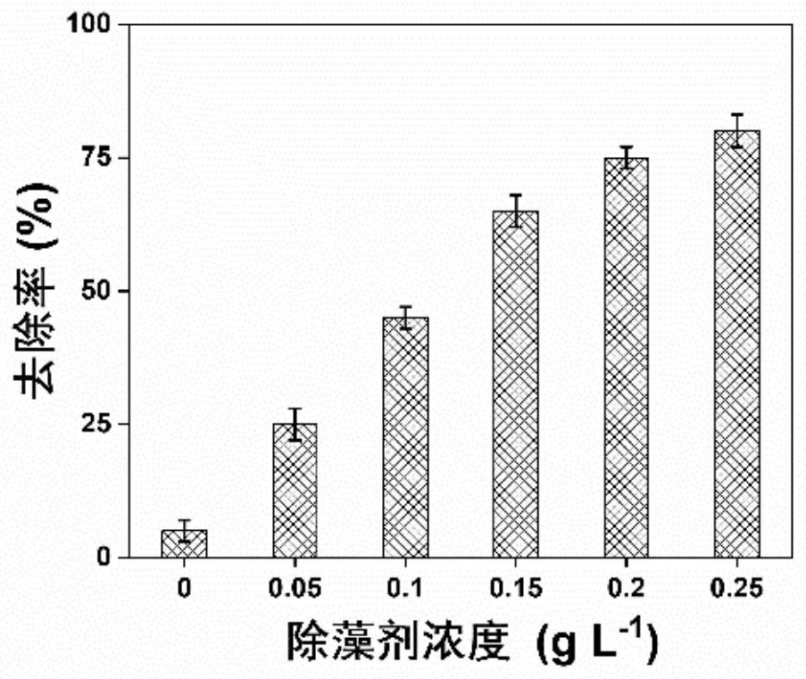 Red tide algae algicide based on procyanidine activated persulfate and application of red tide algae algicide