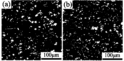 Method for refining magnesium alloy crystal grains