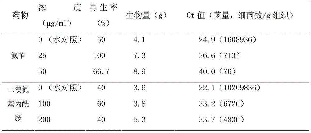 Method for screening Candidatus Liberibacter resisting chemical through catharanthus roseus