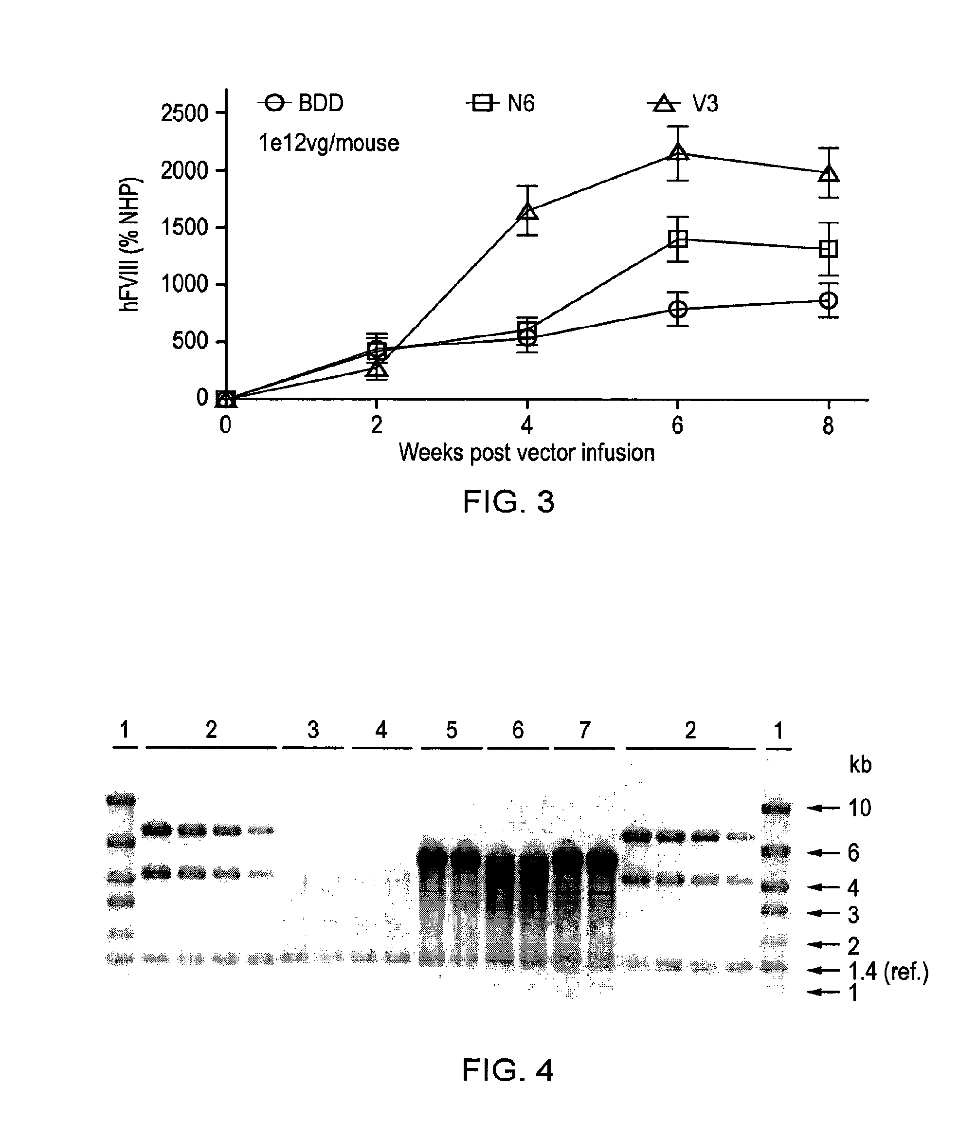 Factor viii sequences