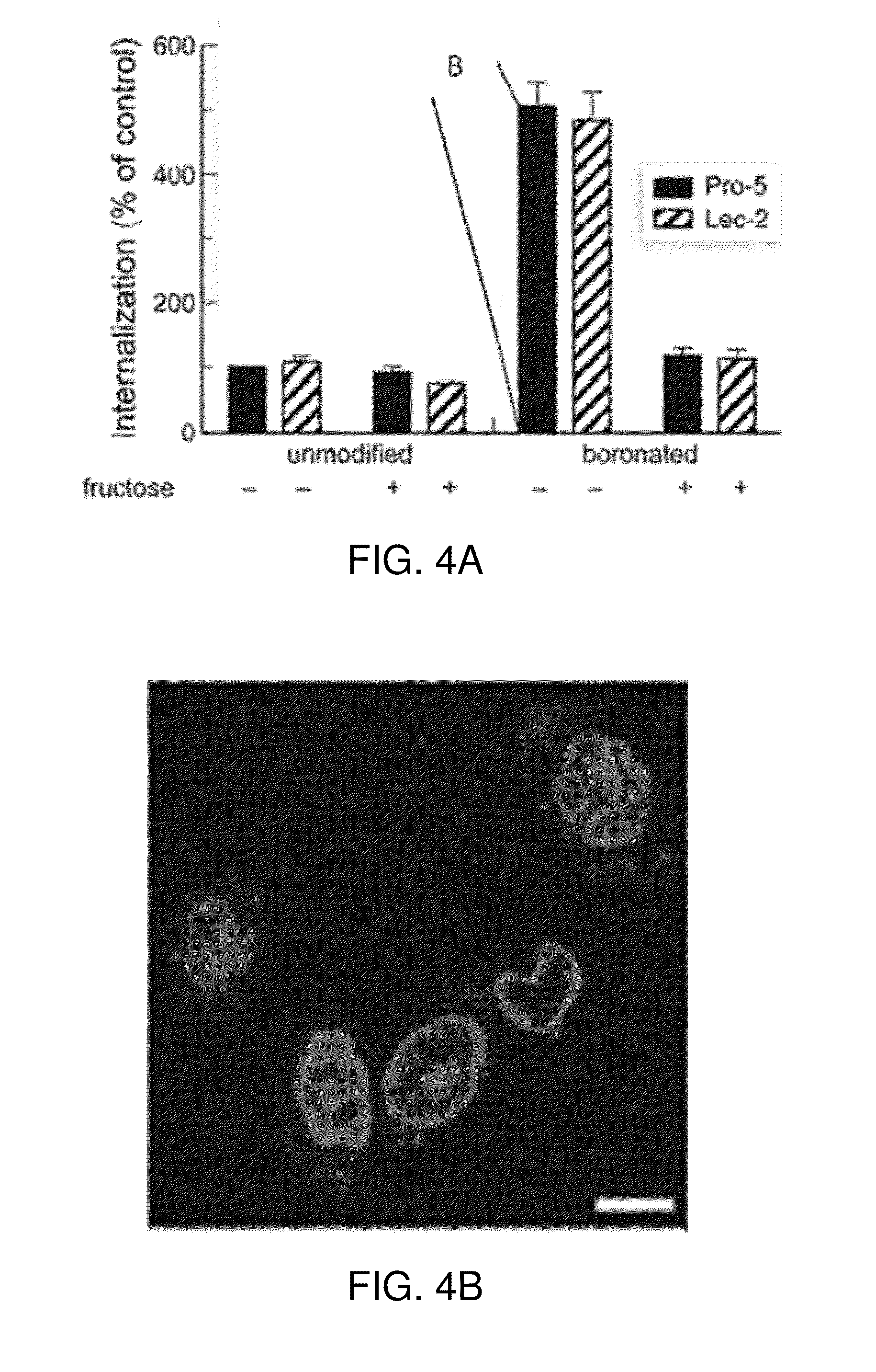 Bioreversible boronates for delivery of molecules into cells