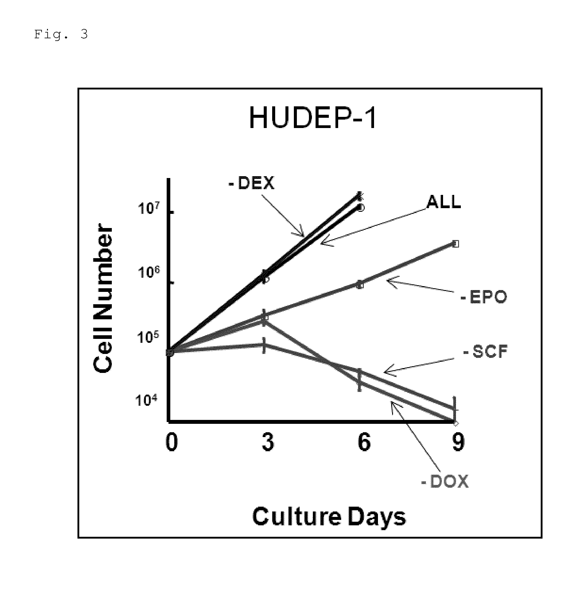 Human erythroid progenitor cell line and method for producing human enucleated red blood cells