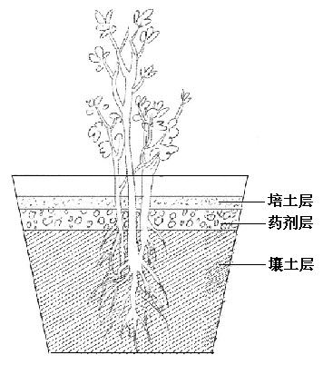 Oxygen-increasing controlled-release fertilizer as well as preparation method and application thereof
