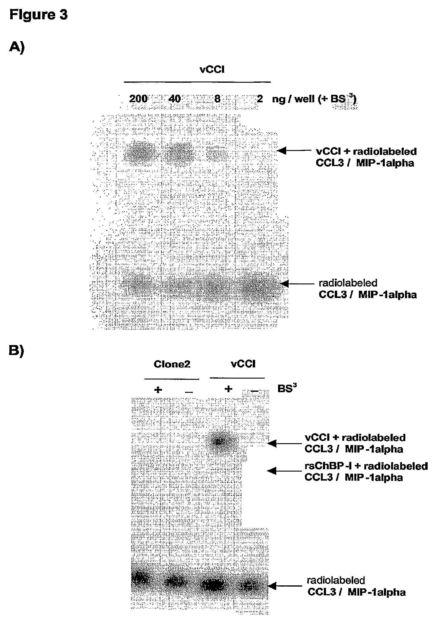 CC-chemokine binding tick proteins