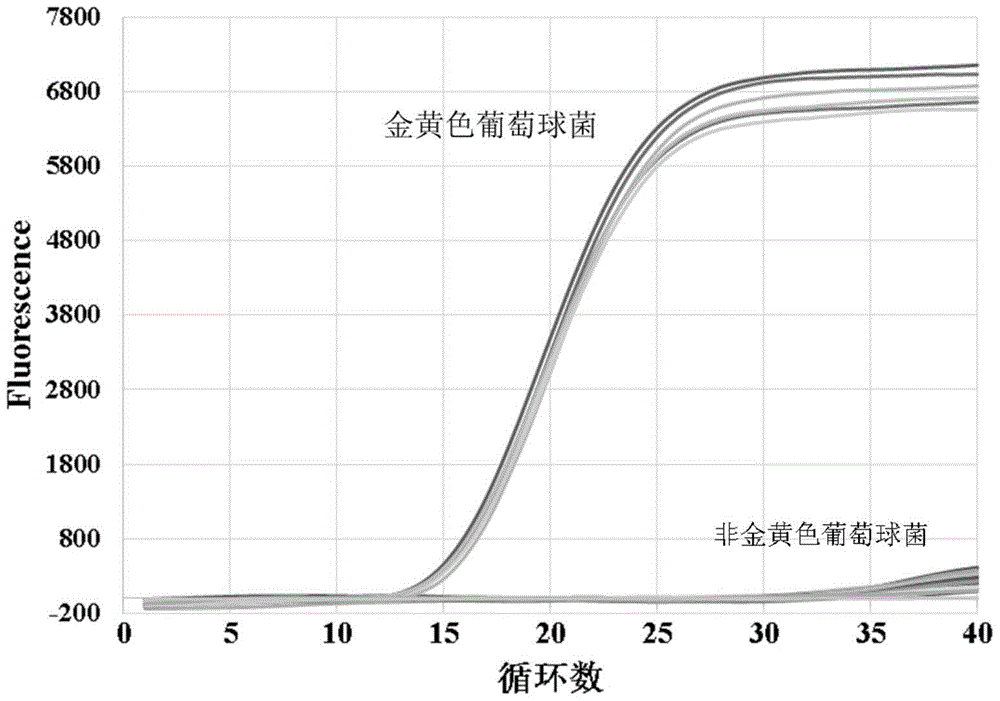 A method for detecting staphylococcus aureus and enterotoxin a gene in food