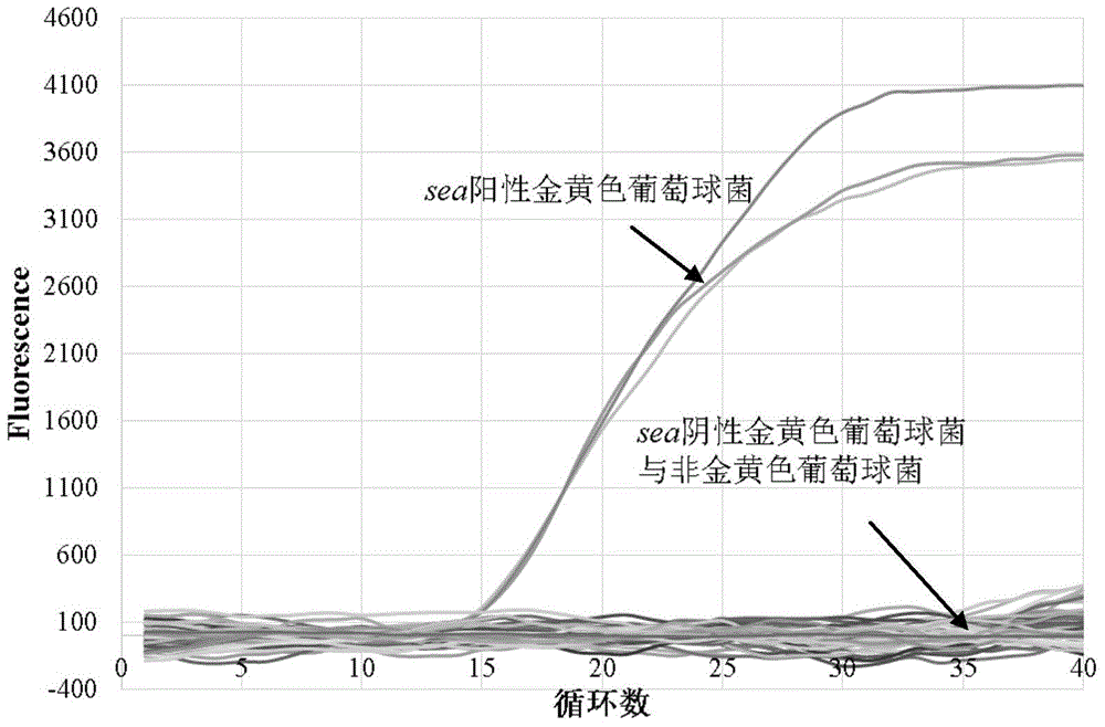 A method for detecting staphylococcus aureus and enterotoxin a gene in food