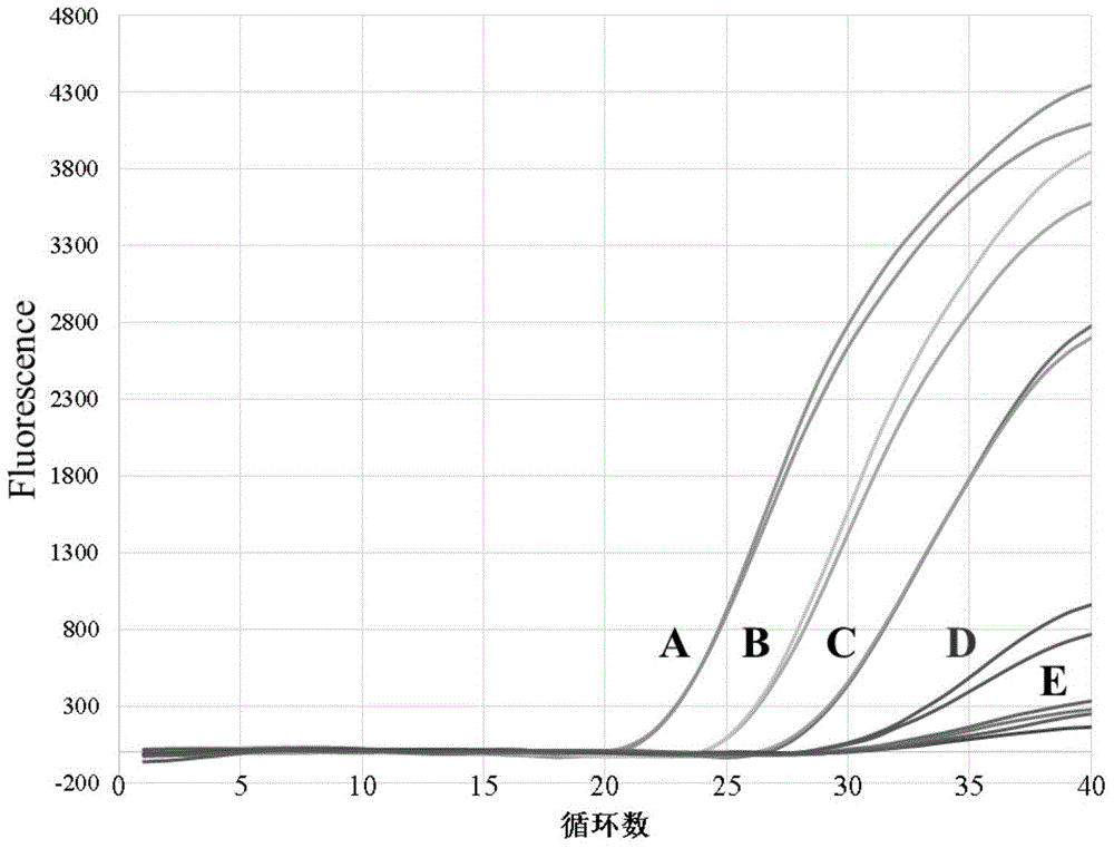 A method for detecting staphylococcus aureus and enterotoxin a gene in food