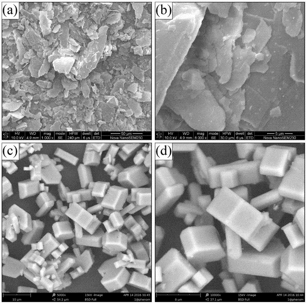 Fluorine ion adsorbent with high adsorbing capacity and preparation method thereof