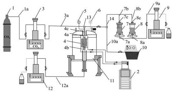 Application of mri in situ measurement of co in reservoir temperature and pressure  <sub>2</sub> - Apparatus and method for convective mixing of brine