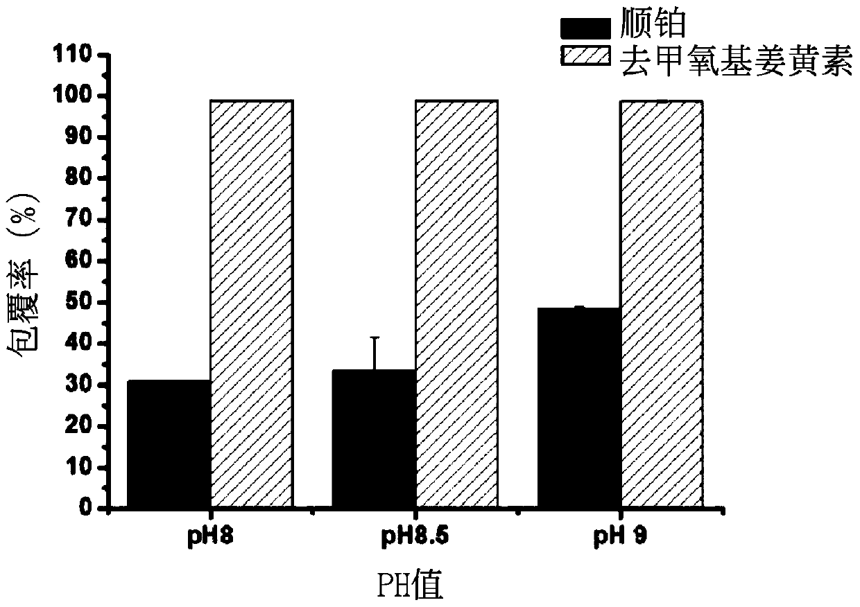 Pharmaceutical composition and its preparation method