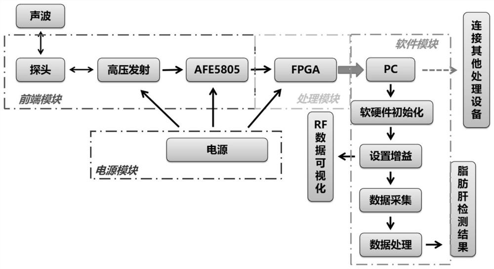 Portable fatty liver detection device based on ultrasound and data processing method thereof