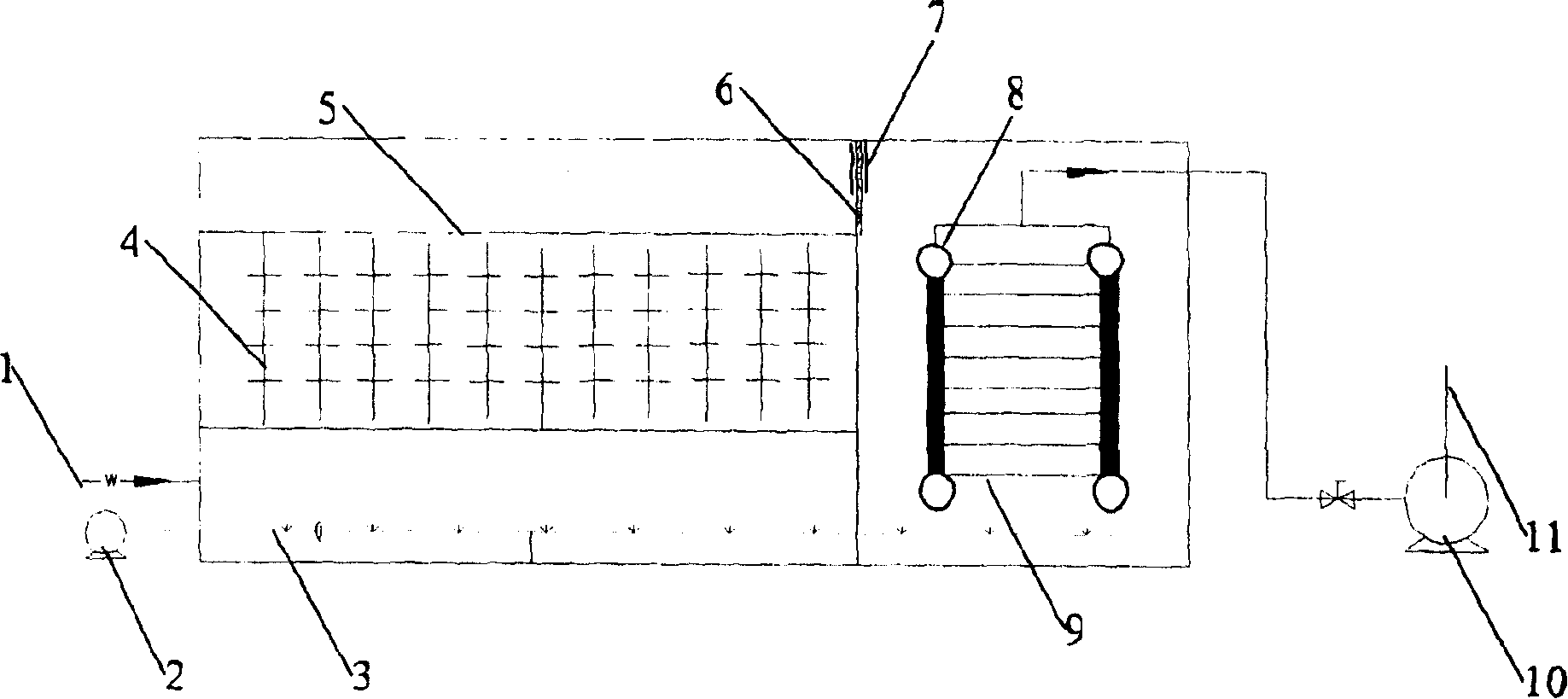 Process and apparatus for treating active dyeing waste water by white rot fungi biological membrane method