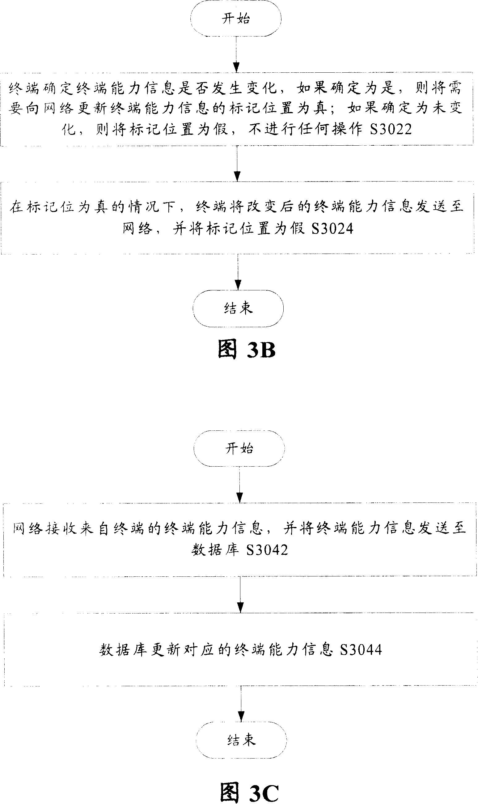 Terminal ability information updating system and method