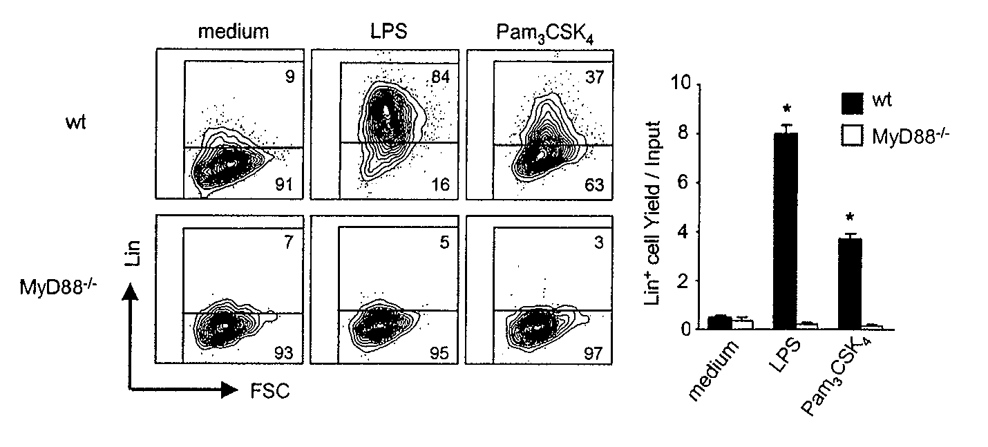 Regulation of Toll-Like Receptors on Stem Cells