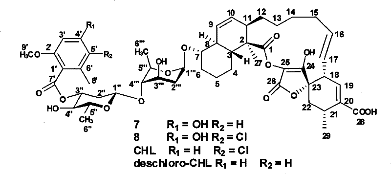 6-methy salicylic acid synthetase transformed by genetic engineering and combinatorial biosynthesis of spirocyclic acetoacetic acid lactone antiboitic