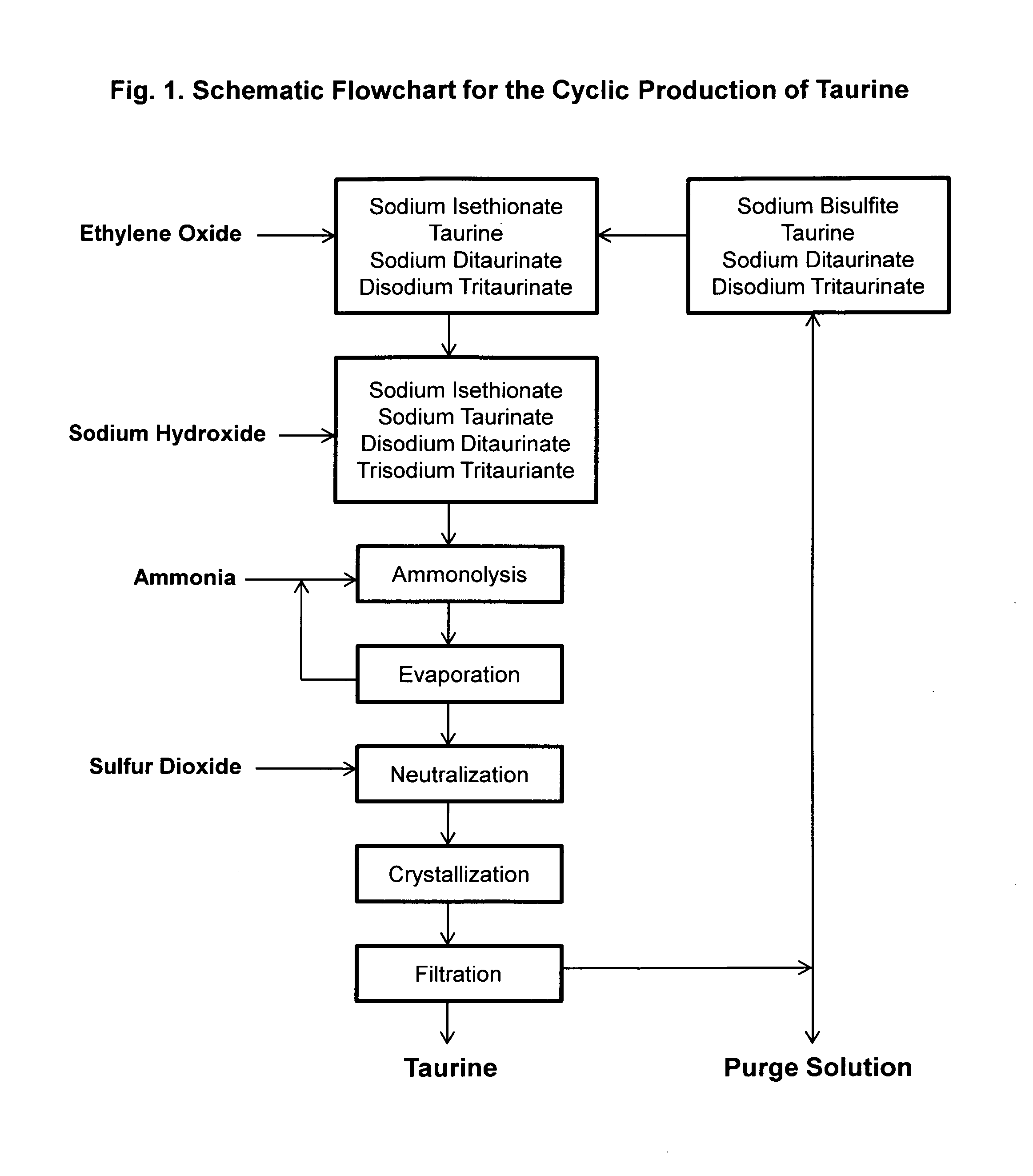 Cyclic process for the production of taurine from ethylene oxide