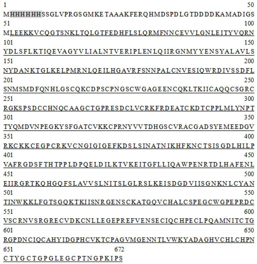 Polypeptide that specifically binds to EGFR and inhibits EGF to promote tumor cell proliferation