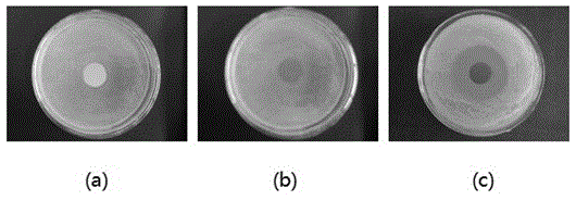 A method for surface modification of polymer separation membrane