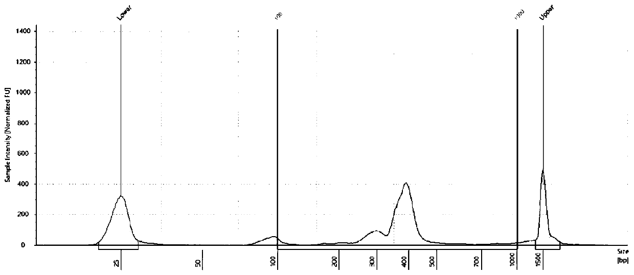 Universal high-throughput sequencing adapter and application thereof