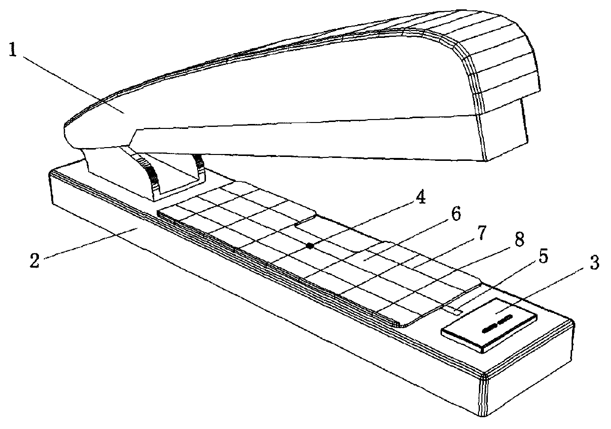 Stapler provided with stapling scale