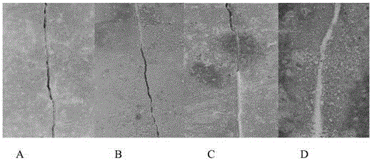 A preparation method of cement-based material with deep self-healing function