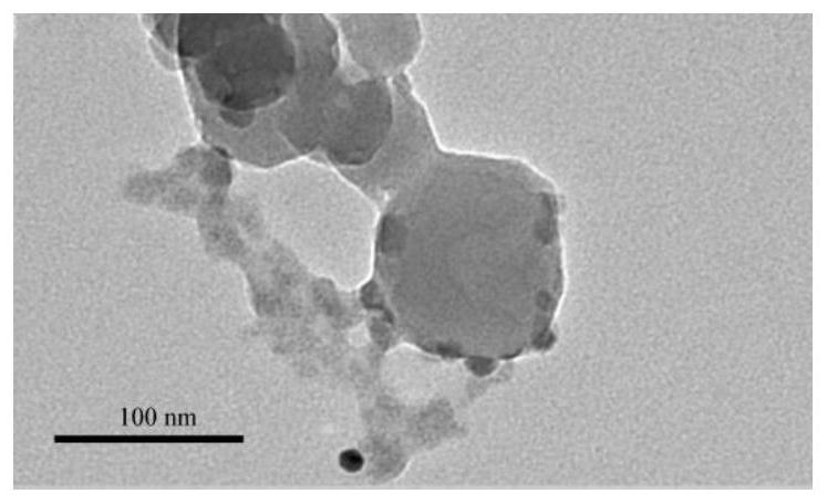 Wnt protein\zif-8 nanocomplex, its preparation method and application