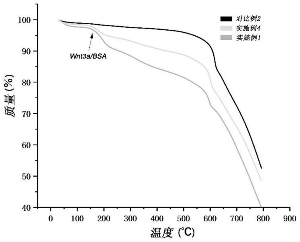 Wnt protein\zif-8 nanocomplex, its preparation method and application