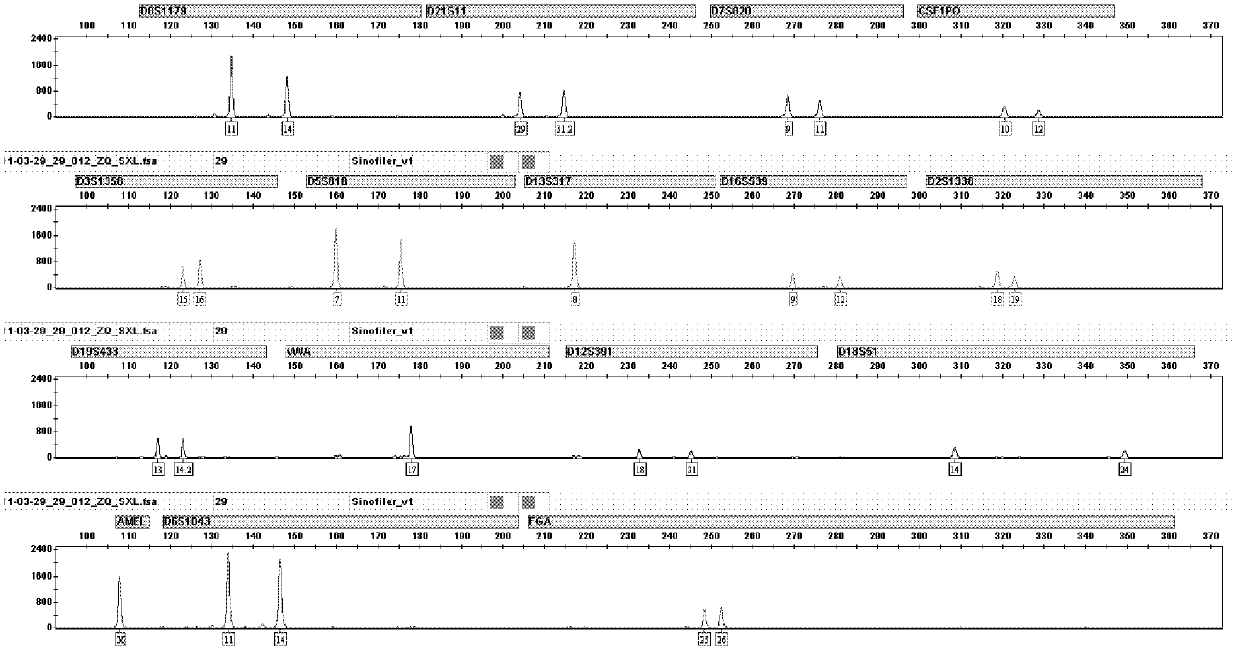 Method utilizing magnetic particles to purify deoxyribonucleic acid (DNA) from samples containing trace nucleic acid