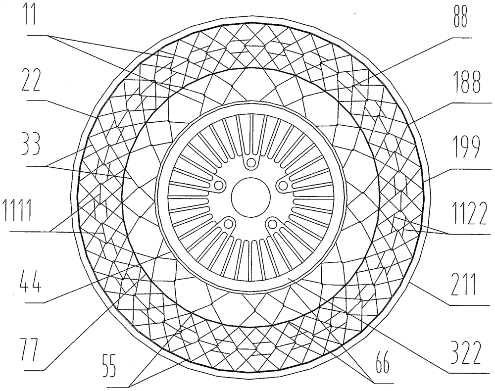 A special-shaped mesh armor bladder tire