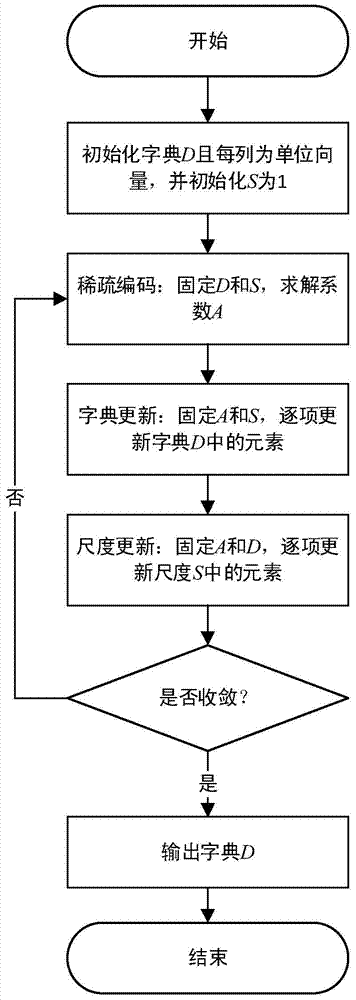 A Sparse Representation Method of Conformal Mapping for Image and Video Scene Content